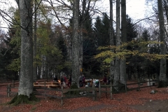 Foto 27.10.17, 18 35 19